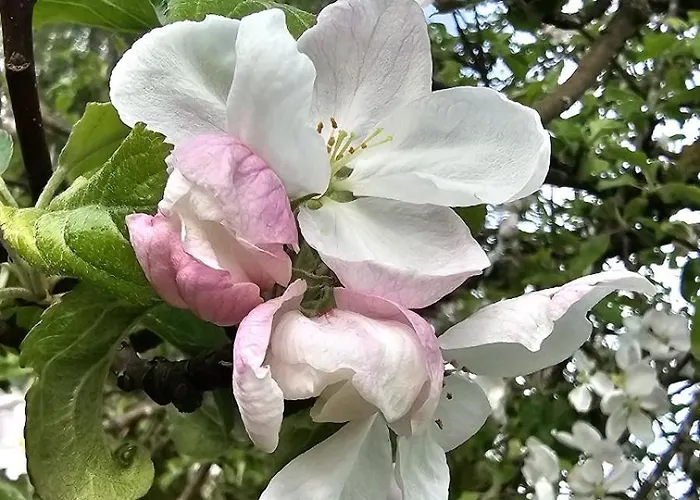 Accommodatie bij particulieren Ruhiges Ferienzimmer Mit Eigenem Bad Am Waldrand